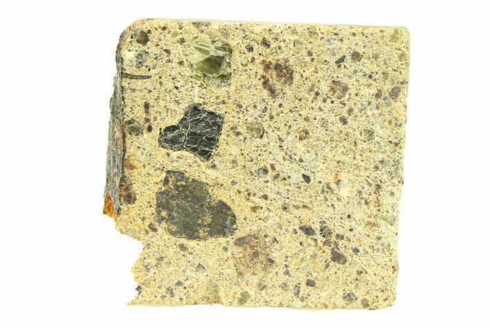 Diogenite Meteorite ( g) Slice - From Vesta Micro-Planet! #291743